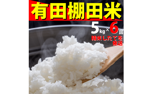 ＜予約受付＞『10月下旬より順次発送』『数量限定』令和8年産 有田 棚田米 5kg<6回定期便> 合計 30kg【みゆきファーム】米 5kg 精米済 白米 定期便 減農薬 organic 棚田米 有田町 令和8年度産 新米 ft003 2743814 - 佐賀県有田町