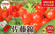 【2027年産 先行予約】 採れたて！4月の温室さくらんぼ「佐藤錦」 秀L 300g化粧箱詰め 山形県 東根市 晴天畑提供 hi026-064-r9 サクランボ フルーツ 果物 くだもの 加温 佐藤錦 期間限定 先行受付 300g 化粧箱入り 冷蔵配送 グルメ ご当地 特産直送