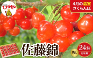 【2027年産 先行予約】 採れたて！4月の温室さくらんぼ「佐藤錦」 秀L 24粒化粧箱 山形県 東根市 晴天畑提供 hi026-065-r9 サクランボ フルーツ 果物 くだもの 加温 佐藤錦 期間限定 先行受付 24粒 化粧箱入り 冷蔵配送 グルメ ご当地 特産直送