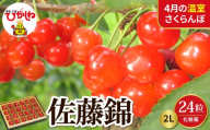 【2027年産 先行予約】 採れたて！4月の温室さくらんぼ「佐藤錦」 秀2L 24粒化粧箱 山形県 東根市 晴天畑提供 hi026-066-r9 サクランボ フルーツ 果物 くだもの 加温 佐藤錦 期間限定 先行受付 24粒 化粧箱入り 冷蔵配送 グルメ ご当地 特産直送