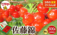 【2027年産 先行予約】 採れたて！5月の温室さくらんぼ「佐藤錦」 秀L 300g化粧箱詰め 山形県 東根市 晴天畑提供 hi026-067-r9 サクランボ フルーツ 果物 くだもの 加温 佐藤錦 期間限定 先行受付 300g 化粧箱入り 冷蔵配送 グルメ ご当地 特産直送