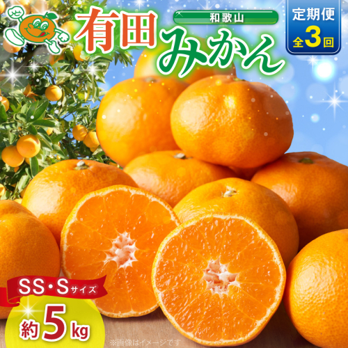 【3回定期便】【2026年先行予約】和歌山 有田みかん 約5kg（SS・Sサイズ）【湯浅町】_ZJ60-T01 2744125 - 和歌山県湯浅町
