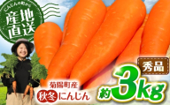 【先行予約】【2026年11月より順次発送】菊陽秋冬にんじん 秀品 約3kg / にんじん 菊陽にんじん 秋冬にんじん ニンジン 人参 野菜 熊本 菊陽 【さかもと農園】 [BHDL003]