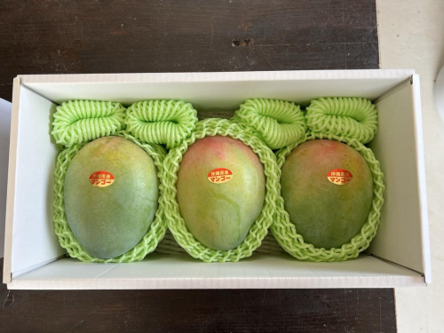 キーツマンゴー 優品 約2kg I マンゴー キーツ 嘉数マンゴー 2kg フルーツ 果物 沖縄県 南城市 ふるさと納税 2744314 - 沖縄県南城市