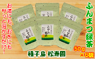 種子島 松寿園 粉末 緑茶 50g ×6袋　NFN340【375pt】