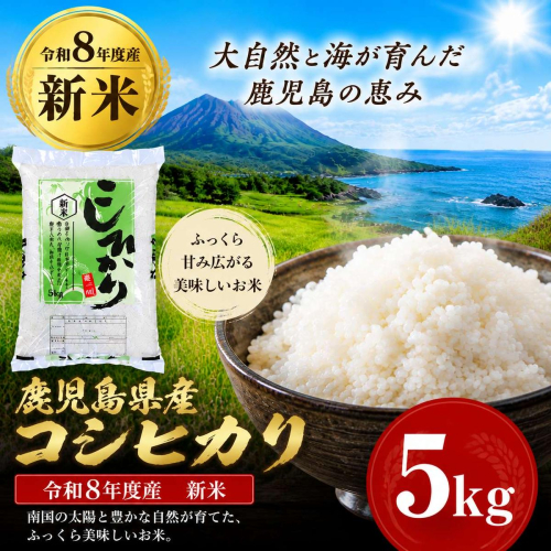 令和8年産 新米 鹿児島県産 コシヒカリ  5kg  2745613 - 鹿児島県肝付町