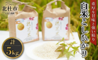 【先行予約】【令和8年度新米】白米 有機肥料使用 こしひかり 5kg×1袋　お米 コメ コシヒカリ ごはん お弁当 おにぎり 殺虫剤不使用 殺菌剤不使用 仕送りギフト