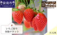 いちご狩り体験ペアチケット（大人2名）【ふるさと納税3.0】【117D-003】