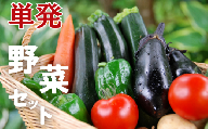 ＼ 農園直送 / 旬 の 採れたて野菜 詰め合わせ 野菜セット 野菜 野菜詰め合わせ 旬の野菜セット 旬の採れたて 酒々井 千葉 セット 季節の野菜 日用品