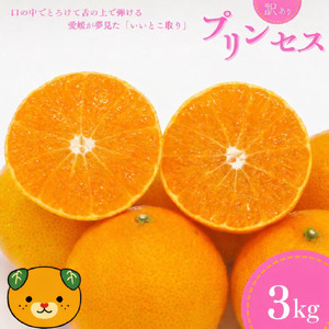 【先行予約：2027年3月上旬～発送】 訳あり プリンセス 愛果48号 3kg  みかん 小玉 愛媛県 の 新品種 高級 人気 ブランド 柑橘 果物 フルーツ サイズミックス 甘い おいしい お取り寄せ 産地直送 農家直送 国産 特産品 中山農園 愛媛県 愛南町 2746682 - 愛媛県愛南町