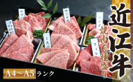 【10月発送】近江牛 焼肉 特上 盛り合わせ 480g 冷凍 シャトーブリアン A4 A5 ( 近江牛 サーロイン フィレ ヘレ 希少部位 ミスジ クラシタ イチボ ヒウチ ササバラ ラムシン 等 赤身 和牛 近江牛 黒毛和牛 ブランド 牛肉 近江牛 贈り物 ギフト 国産 滋賀県 近江牛 竜王町 岡喜 霜降り 神戸牛 松阪牛 に並ぶ 日本三大和牛 ふるさと納税 母の日 父の日 )