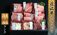 【11月発送】近江牛 焼肉 9種 盛り合わせ 360g 冷凍 A4 A5  ( 近江牛 カルビ ロース ハラミ こてっちゃん てっちゃん サーロイン 希少部位2種 赤身 和牛 黒毛和牛  ブランド和牛 近江牛 牛肉 三大和牛 近江牛  近江牛 切り落し 贈り物 ギフト 近江牛 国産 近江牛 滋賀県 竜王町近江牛 岡喜 霜降り 神戸牛 松阪牛 に並ぶ 日本三大和牛 ふるさと納税 父の日 母の日 )