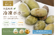 【冷凍ポポー】【農薬不使用】ポポーまるごと　1.5キロ以上