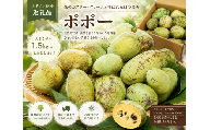 【デザート】【大きさ様々（60～150g）】農薬不使用ポポー　1.5キロ以上
