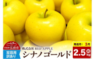 【27年3月発送】りんご シナノゴールド【訳あり】家庭用 約2.5kg 先行受付 [先行予約 黄色 林檎 アップル 果実 果物 美味 おいしい 青森県 弘前市 REDAPPLE]