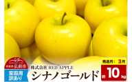 【27年3月発送】りんご シナノゴールド【訳あり】家庭用 約10kg 先行受付 [先行予約 黄色 林檎 アップル 果実 果物 美味 おいしい 青森県 弘前市 REDAPPLE]