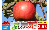 【27年1月発送】りんご 葉とらずふじ【訳あり】家庭用 約2.5kg 13度糖度保証 先行受付 [りんご 葉とらず ふじ 訳あり 家庭用 糖度 果実 果物 赤 林檎 アップル 美味 おいしい 青森県 弘前市 REDAPPLE] [u9]