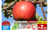 【26年12月発送】りんご 葉とらずふじ【訳あり】家庭用 約2kg 13度糖度保証 先行受付 [りんご 葉とらず ふじ 訳あり 家庭用 糖度 果実 果物 赤 林檎 アップル 美味 おいしい 青森県 弘前市 REDAPPLE] [u9]