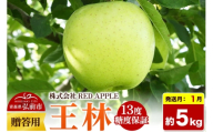 【27年1月発送】りんご 13度糖度保証【贈答用】王林 約5kg 先行受付 [アップル おいしい お歳暮 お中元 ギフト プレゼント りんご 王林 黄色 果実 果物 贈り物 贈答用 糖度 美味 林檎]