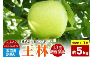 【27年1月発送】りんご 13度糖度保証【訳あり】家庭用 王林 約5kg 先行受付 [アップル おいしい りんご 王林 黄色 果実 果物 糖度 美味 林檎]