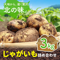 じゃがいも詰め合わせセット 3kg 10種のうち3種をお届け メークイン 男爵 とうや 十勝こがね キタアカリ アンデスレッド インカのめざめ インカのひとみ きたかむい のざわ農園 《9月上旬-12月末頃出荷予定》 北海道 日高町 いも 芋 じゃがいも 野菜