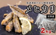 メヒカリ 2kg 小分け 1kg × 2 パック 旬の鮮魚 たっぷり 急速 凍結 冷凍 唐揚げ 天ぷら 塩焼き 刺し身