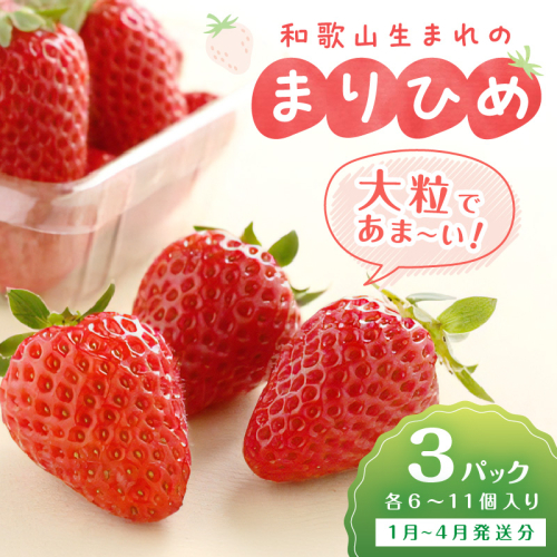 和歌山生まれのイチゴ（まりひめ）大粒3パック（1月～4月発送分）《先行予約》 2748088 - 和歌山県御坊市