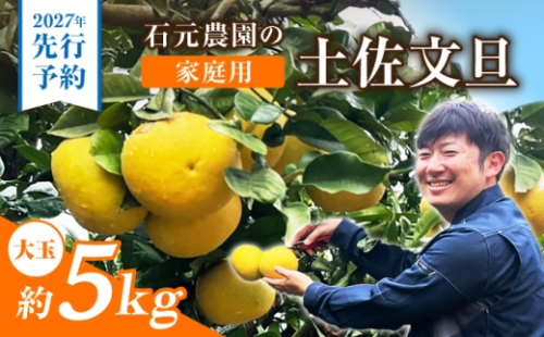 【先行予約】石元農園の土佐文旦 家庭用 大玉 約5キロ ＜2027年2月～発送＞ /  5kg 3Lサイズ 4Lサイズ 文旦 ぶんたん 柑橘 かんきつ みかん フルーツ デザート 果物 高知 【石元農園】 [BQBH005] 2748434 - 高知県土佐市