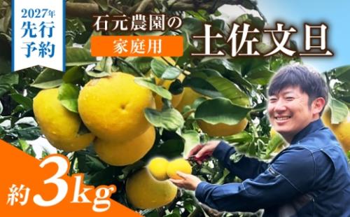 【先行予約】石元農園の土佐文旦 家庭用 約3キロ〈2027年2月～発送〉/ 期間限定 土佐文旦 文旦 3kg ブンタン ぶんたん 果物 柑橘 フルーツ 高知県産 家庭用 おいしい 【石元農園】 [BQBH006] 2748435 - 高知県土佐市