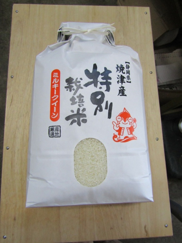 a17-161　特別栽培米　令和7年産　ミルキークイーン　5Kg　農家のお米 2748511 - 静岡県焼津市