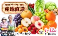 【3回定期便】【産地直送】長崎県諫早産 旬の野菜＆フルーツ詰め合わせ 9～11品目程度 季節のおまかせセット / 野菜 フルーツ 果物 セット 詰め合わせ 旬野菜セット 旬のフルーツ 旬 食べ比べ 産地直送 健康 / 諫早市 / 肥前グローカル株式会社 [AHDI016]