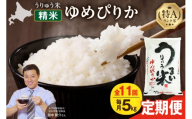 【新米予約】 令和8年産 【定期便全11回】 うりゅう米 ゆめぴりか 5kg（5kg×1袋）毎月1回お届け お米 米 ごはん ご飯 11ヶ月 連続お届け 定期便 特A 単一原料米 お弁当 国産 人気 おすすめ kome 雨竜町 R8U001-114