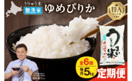 【新米予約】 令和8年産 【定期便全6回】うりゅう米 ゆめぴりか 無洗米 5kg（5kg×1袋）毎月1回お届け お米 米 ごはん ご飯 6ヶ月 連続お届け 定期便 特A 単一原料米 お弁当 国産 人気 おすすめ kome 雨竜町 R8U001-135