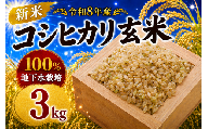 令和8年産 玄米 コシヒカリ 3kg 新米 米 お米 数量限定 ご飯 ごはん コメ 白米 ライス げんまい こしひかり 先行予約 2026年産 R8産 玄米3kg 玄米3キロ 米3kg 3キロ 銘柄米 茨城県 筑西市新生活 応援 kome okome 茨城県産 国産 産地直送 ※ 関東 茨城 筑西