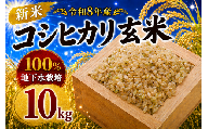令和8年産 玄米 コシヒカリ 10kg 新米 米 お米 数量限定 ご飯 ごはん コメ 白米 ライス げんまい こしひかり 先行予約 2026年産 R8産 玄米10kg 玄米10キロ 米10kg 10キロ 銘柄米 茨城県 筑西市新生活 応援 kome okome 茨城県産 国産 産地直送 ※ 関東 茨城 筑西