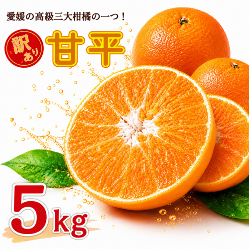 【先行予約：2027年2月中旬～発送】 訳あり 甘平5kg みかん 蜜柑 mikan 甘平 ポンカン 高級 人気 ブランド 柑橘 果物 フルーツ 甘い おいしい お取り寄せ 産地直送 農家直送 国産 特産品 中山農園 愛媛県 愛南町 2748958 - 愛媛県愛南町