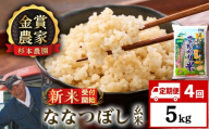 【新米予約】【定期便4回】ななつぼし玄米5kg≪杉本農園≫