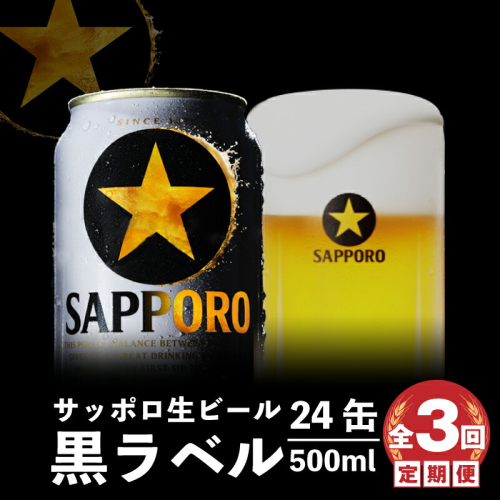 『定期便：全3回』黒ラベル500ml×24本【300050313903】 2749069 - 北海道恵庭市