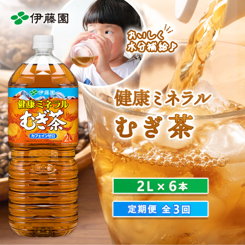 『定期便：全3回』健康ミネラルむぎ茶2L×6本【50000101】 2749123 - 北海道恵庭市