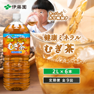 『定期便：全9回』健康ミネラルむぎ茶2L×6本【50000301】