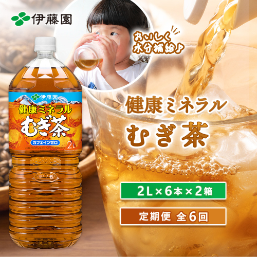 『定期便：全6回』健康ミネラル麦茶2L×6本×2箱【50000601】 2749140 - 北海道恵庭市