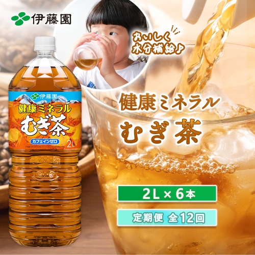 『定期便：全12回』健康ミネラルむぎ茶2L×6本【50001501】 2749144 - 北海道恵庭市