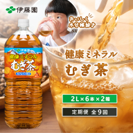 『定期便：全9回』健康ミネラル麦茶2L×6本×2箱【50002101】