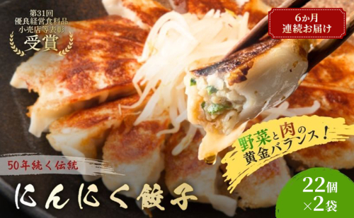 にんにく餃子44個(22個×2袋)6か月連続お届け 餃子 冷凍餃子 冷凍ギョーザ 手作り餃子 ギョーザ 点心 中華 中華料理 惣菜 簡単調理 加工食品 静岡県 森町 2749585 - 静岡県森町