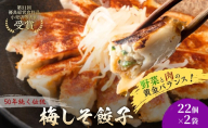 梅しそ餃子44個(22個×2袋) 餃子 冷凍餃子 冷凍ギョーザ 手作り餃子 ギョーザ 点心 中華 中華料理 惣菜 簡単調理 加工食品 静岡県 森町