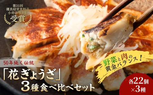 「花ぎょうざ」3種食べ比べセット 66個（各22個×3種） 餃子 冷凍餃子 冷凍ギョーザ 手作り餃子 ギョーザ セット 食べ比べ 点心 中華 中華料理 惣菜 簡単調理 加工食品 静岡県 森町 2749610 - 静岡県森町