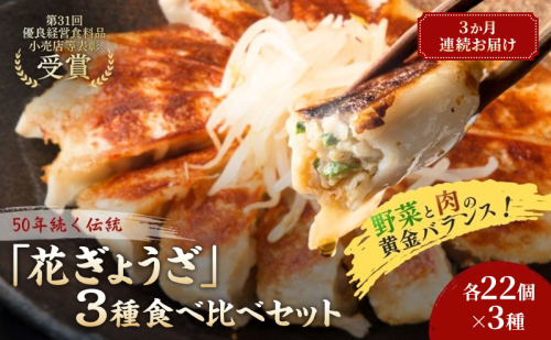 「花ぎょうざ」3種食べ比べセット 66個（各22個×3種）3か月連続お届け 餃子 冷凍餃子 冷凍ギョーザ 手作り餃子 ギョーザ セット 食べ比べ 点心 中華 中華料理 惣菜 簡単調理 加工食品 静岡県 森町 2749611 - 静岡県森町