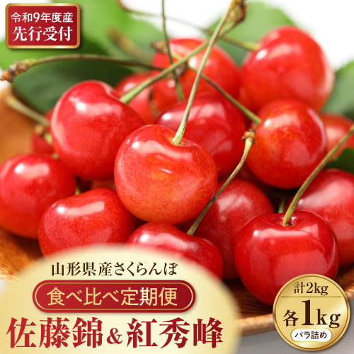 【令和9年産】さくらんぼ食べ比べ「佐藤錦」と「紅秀峰」各1kg全2回お届け ka073-017 2749620 - 山形県河北町