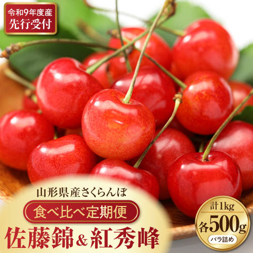 【令和9年産】さくらんぼ食べ比べ「佐藤錦」と「紅秀峰」各500g全2回お届け ka073-018 2749621 - 山形県河北町