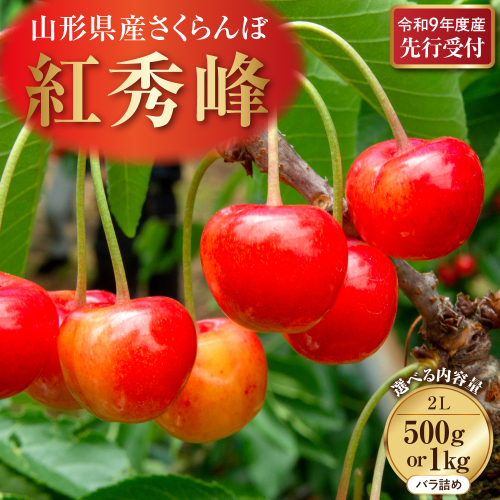 【令和9年産】さくらんぼ「紅秀峰」 秀2L  山形県河北町産 【晴天畑】 2749622 - 山形県河北町